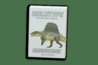 Holotype: Mesozoic North America