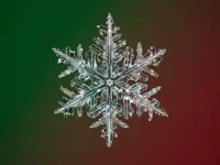 Winter Merten